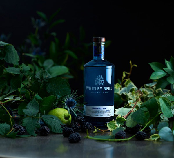 cách pha rượu gin độc đáo năm 2026 cực ngon tại nhà cách pha rượu gin độc đáo năm 2026 cực ngon tại nhà