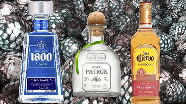 cách uống rượu tequila độc đáo bạn nên thử ngay