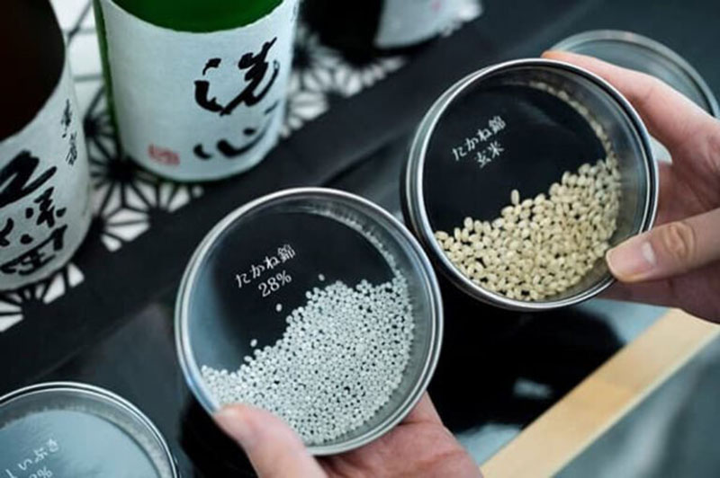 rượu sake biếu sếp: top 5 chai đẳng cấp & sang trọng nhất