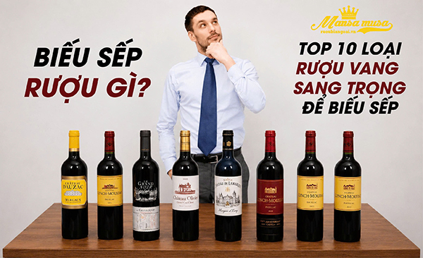 rượu vang biếu sếp: top 10 chai vang pháp cao cấp sang trọng