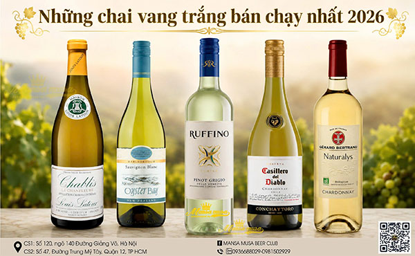 rượu vang trắng bán chạy nhất 2026: bảng xếp hạng top 10