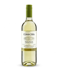 rượu vang trắng chile cosecha sauvignon blanc