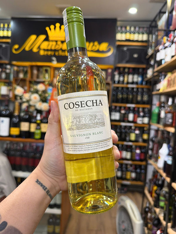 rượu vang trắng chile cosecha sauvignon blanc