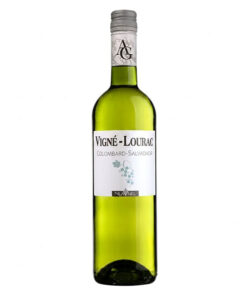 rượu vang vigne-lourac sauvignon - colombard