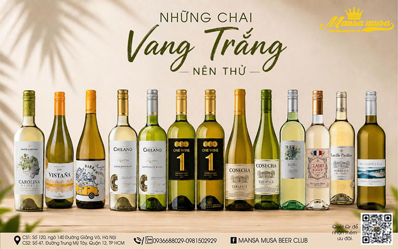 top 15 vang trắng ngon giá tốt, được ưa chuộng nhất 2026