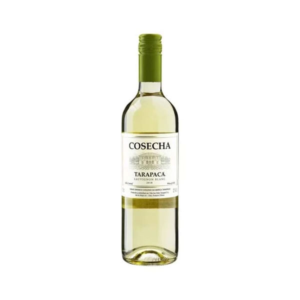 Rượu vang tarapaca cosecha sauvignon blanc Tarapaca cosecha sauvignon blanc