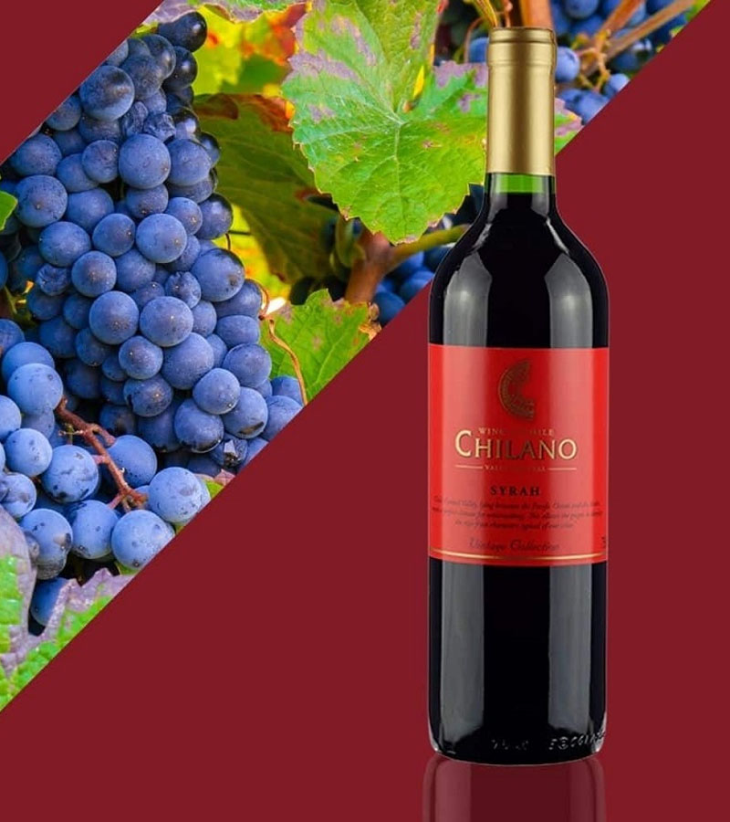 vang chilano syrah vintage collection 2024 vang chilano syrah vintage collection 2024